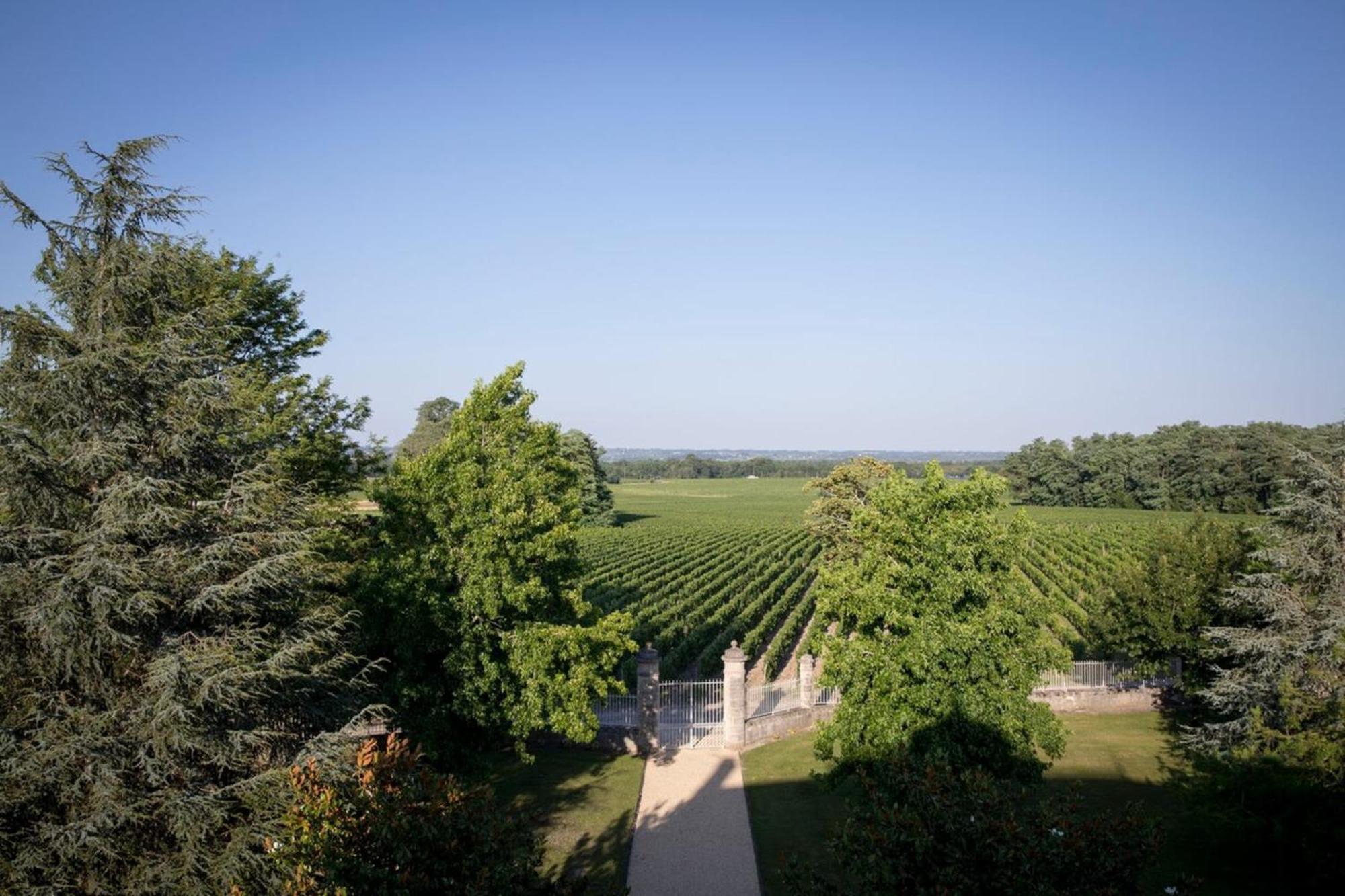 Chateau Malescasse Lamarque Exteriér fotografie