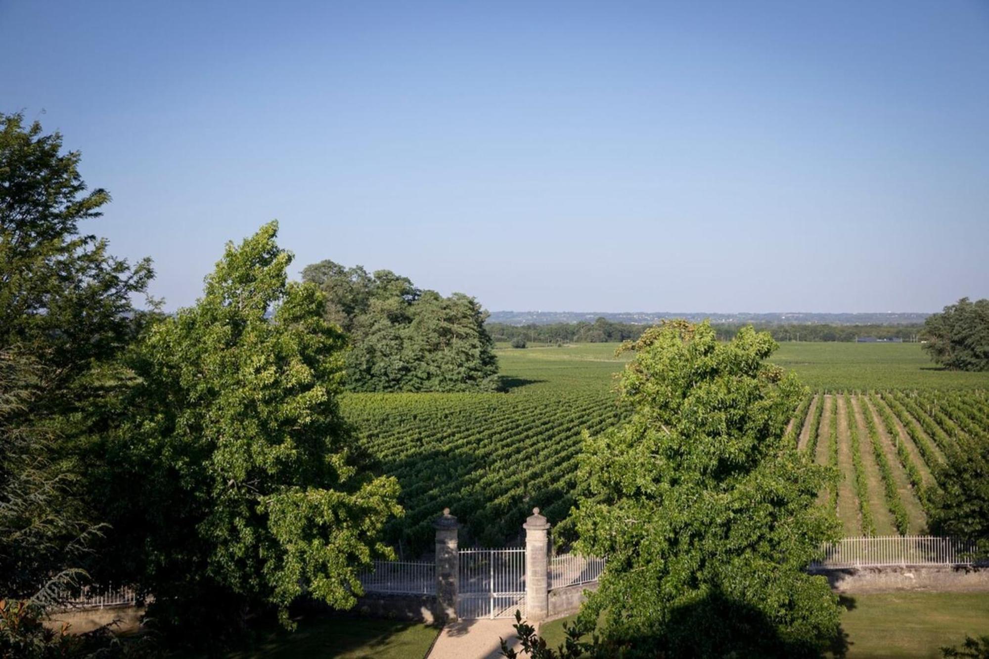 Chateau Malescasse Lamarque Exteriér fotografie