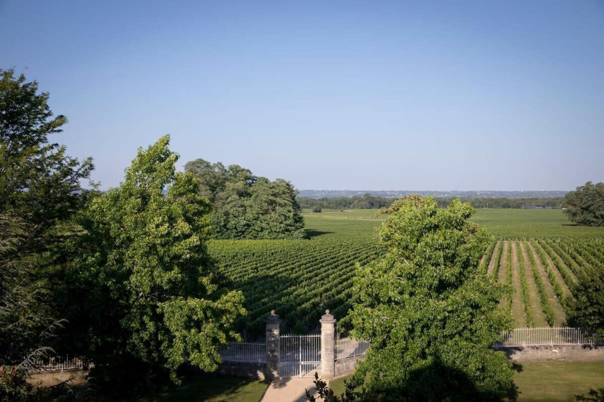 Chateau Malescasse Lamarque Exteriér fotografie